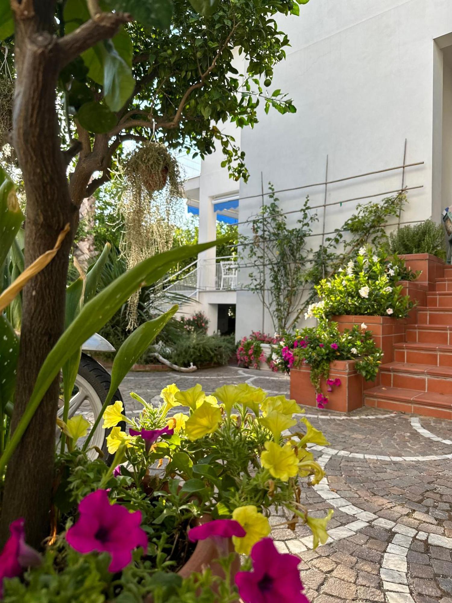 Villa Cettina Boutique Hotel Sorrento Exterior photo