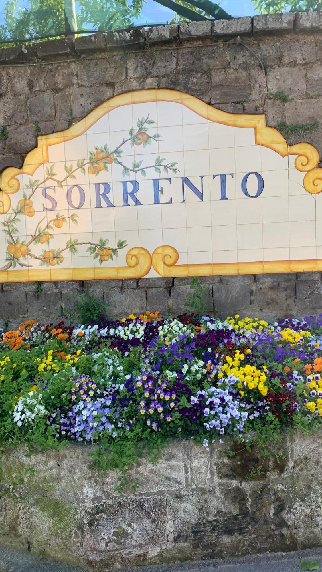 Villa Cettina Boutique Hotel Sorrento Exterior photo